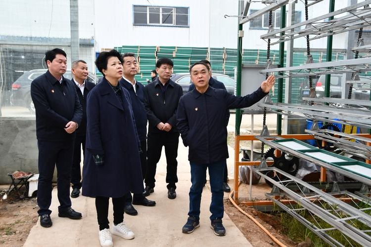 洞庭湖腹地的防疫坚守：益阳城区网格化管控的样本观察