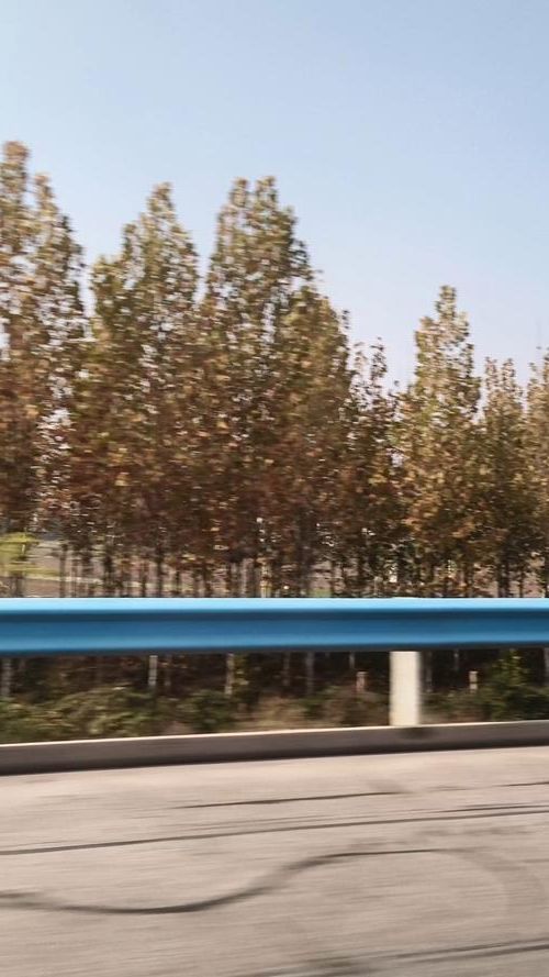 虞城:豫东平原交通枢纽的疫情防线与破口