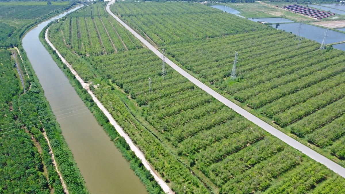 西青区疫情观察:交通枢纽下的防控压力与地理屏障