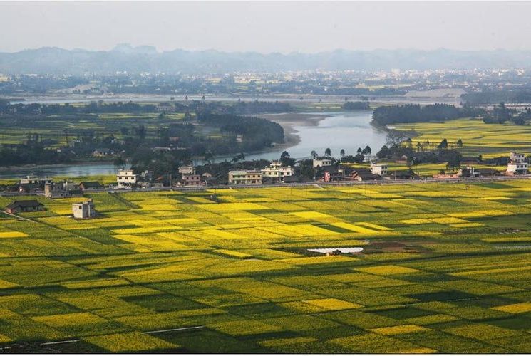 【德阳:川西平原上的疫情阻击战_80510】