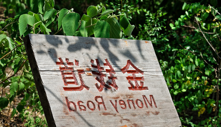 鱼峰区：工业老城区的疫情防波堤是如何筑成的？