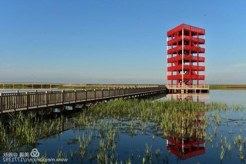 兴隆台区:辽河三角洲腹地的防疫坐标