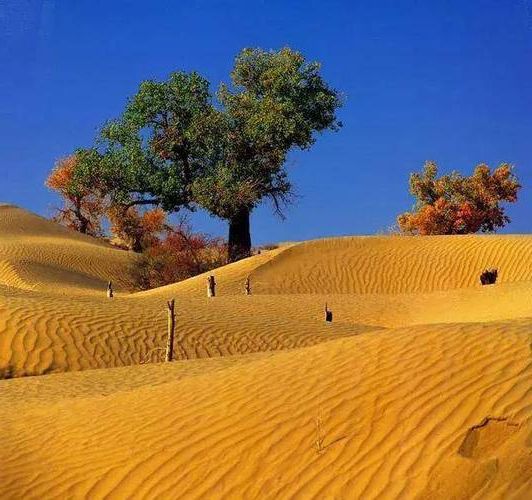 高原屏障下的零感染坚守:曲麻莱的防疫地理学