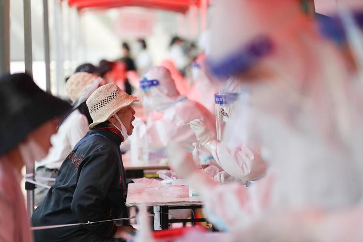 31省新增本土12例(31省新增本土8例)，楚雄疫情引关注