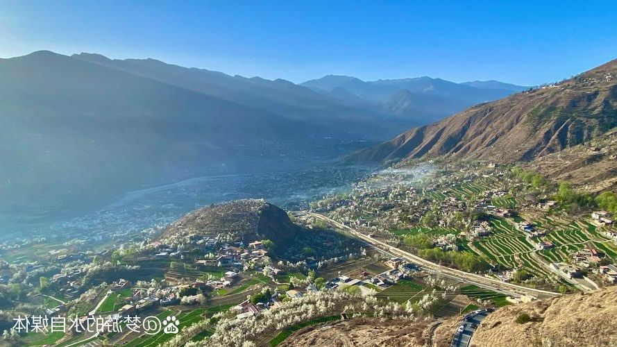 金川梨花下的防疫坚守:高原河谷的零感染逻辑