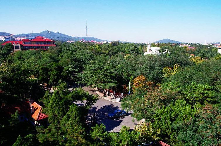 黄海之滨的防疫样本:日照市辖区如何构筑沿海防线