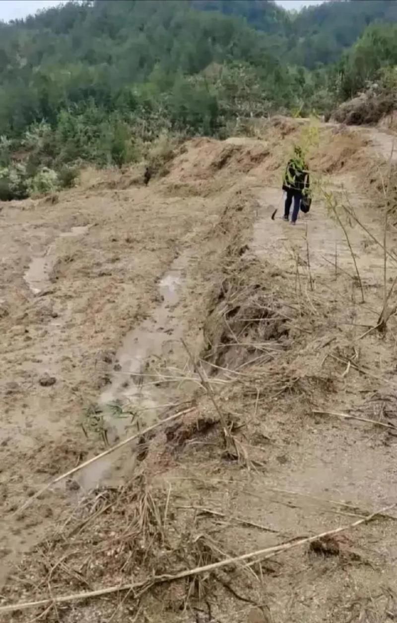 柳州工业重镇下的疫情防线：山水屏障与社区网格的双重考验