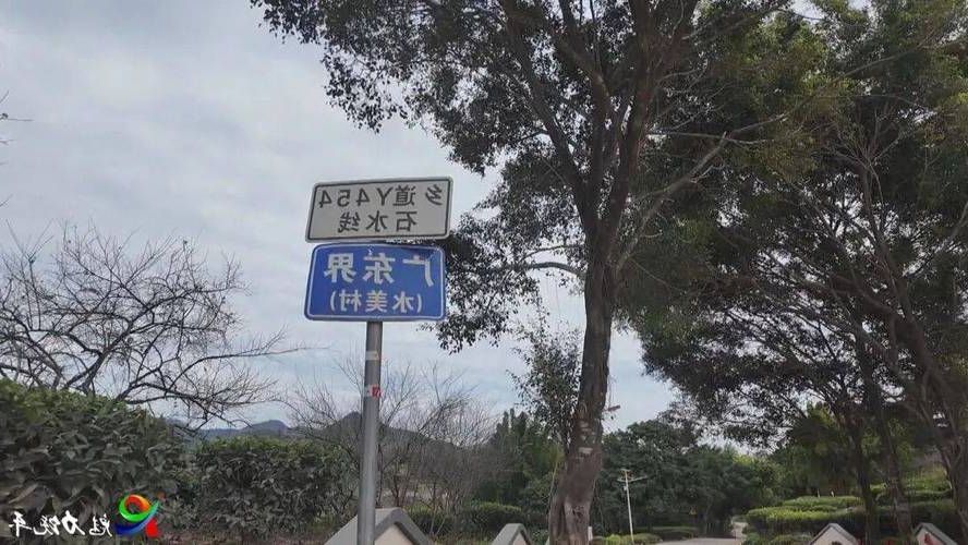 诏安:闽粤边界线上的疫情防线与零感染坚守