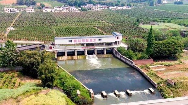 新津县:岷江水网与社区网格交织的防疫样本_97074