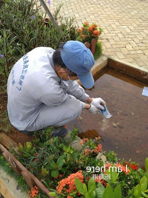 秀英区新增1例无症状感染者  秀英区疫情防控最新通报_99263