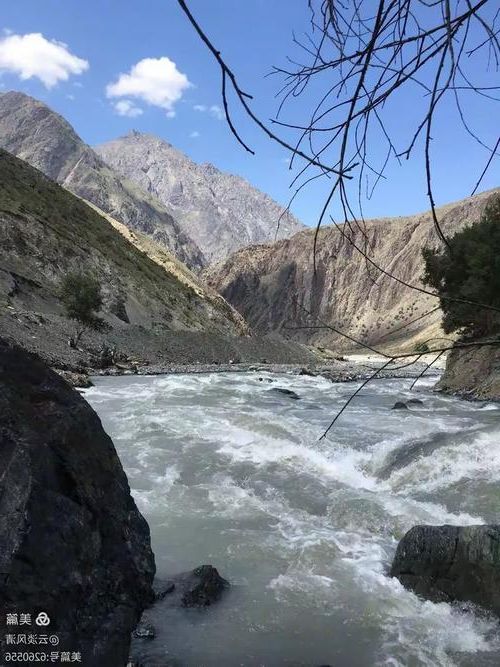 潞西市边境屏障下的零感染坚守：高原河谷的防疫逻辑