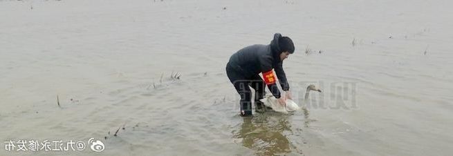 永修县：鄱阳湖畔的防疫坚守与破防时刻