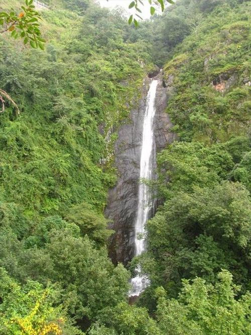 【弥勒：高原葡萄城的零感染防线与隐匿风险】