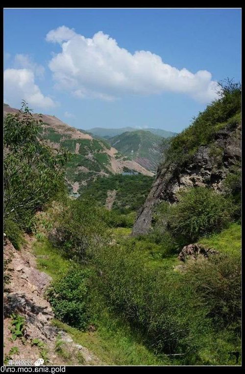 【宝鸡:关中咽喉的疫情阻击战_83189】