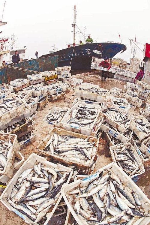 赣榆港区疫情破防：黄海渔港的隐匿传播链