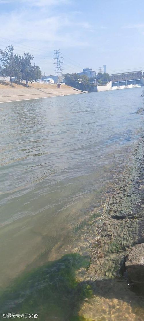 社旗县：南阳盆地中的疫情防波堤_15925