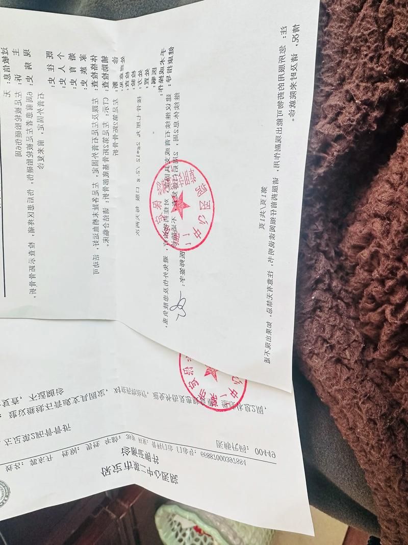 2022年11月28日迪庆新增确诊病例情况_73543