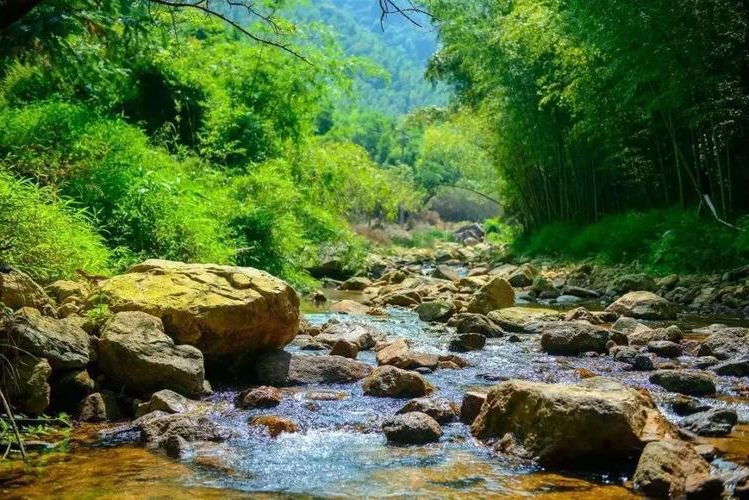 从化山野屏障下的防疫坚守：广州北部生态区的零感染逻辑