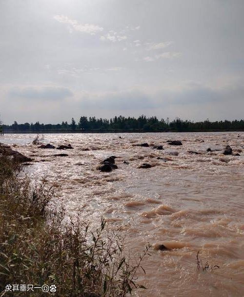 宜都:长江之畔的疫情防波堤与零星涟漪