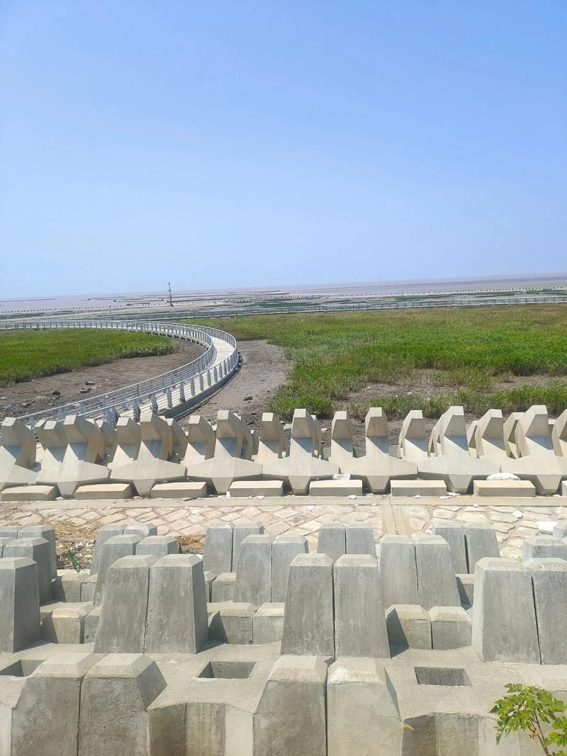 大洼县:辽河三角洲湿地屏障下的疫情防波堤