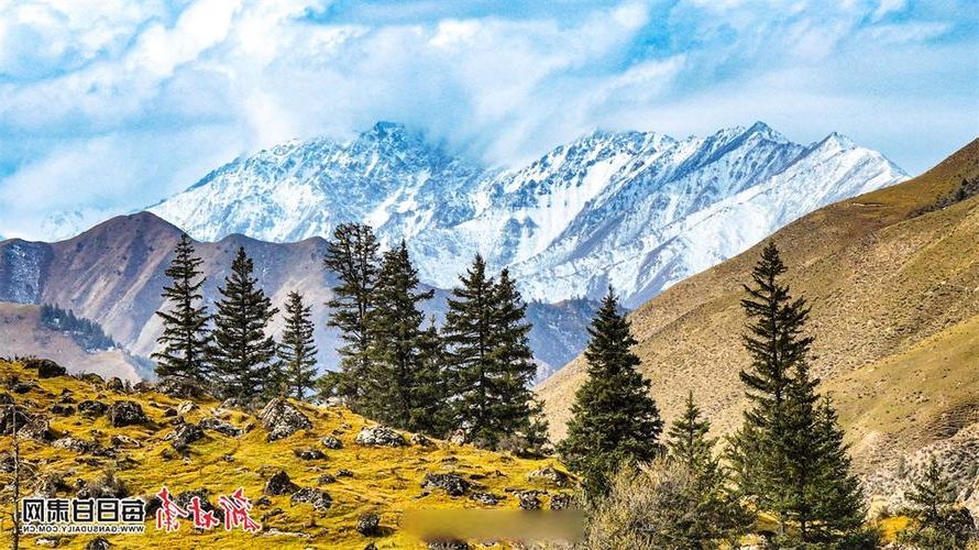 肃南裕固族自治县：祁连山屏障下的零感染坚守_37641