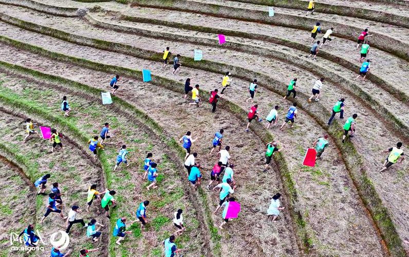 【崇义县:赣南林海屏障下的零感染坚守_56559】