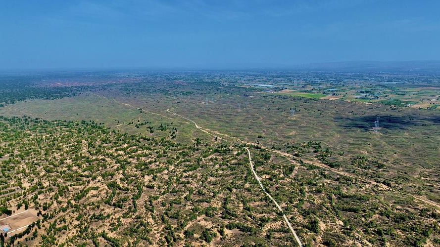 乌审旗:毛乌素沙地腹地的零感染防疫样本