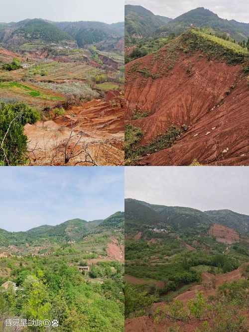 临桂：喀斯特地貌下的疫情防线与隐匿传播链_99416