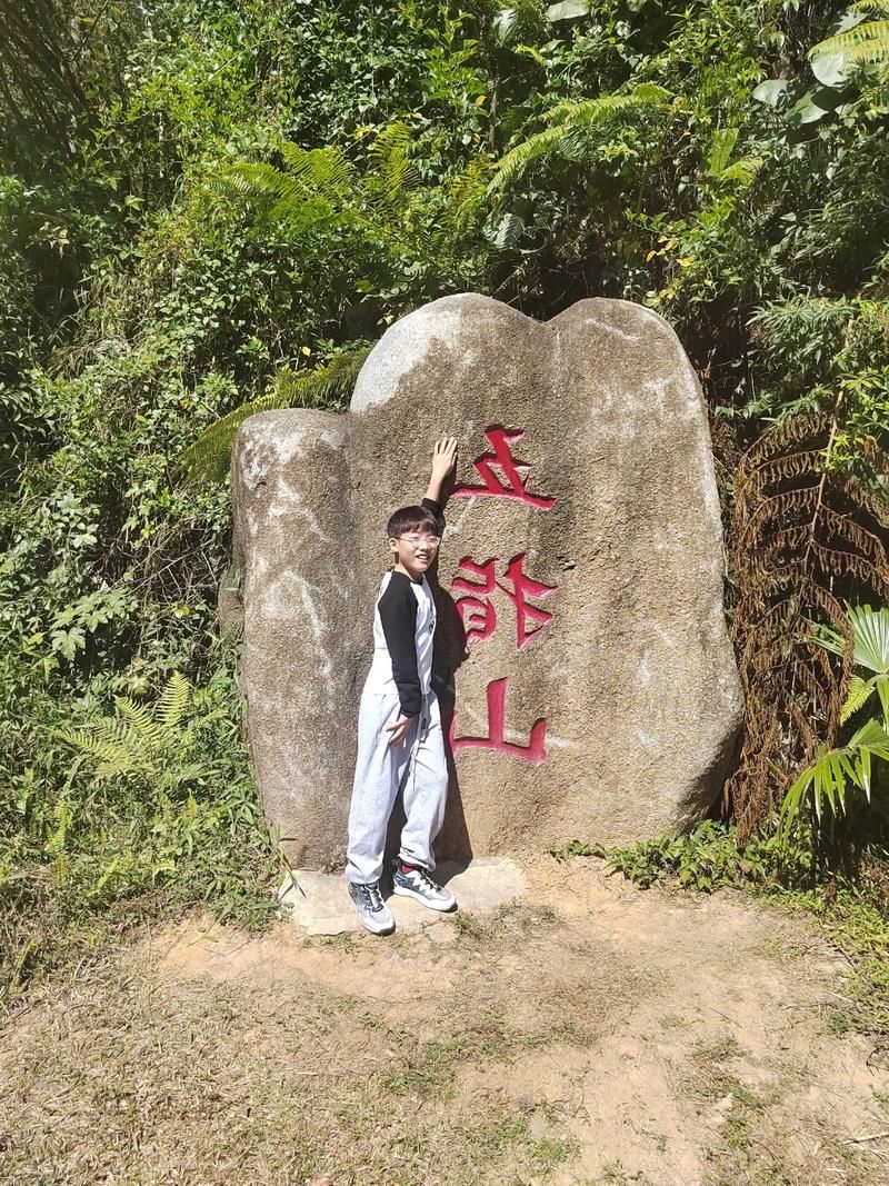 五指山屏障下的零感染坚守：热带雨林气候如何筑起防疫高墙？