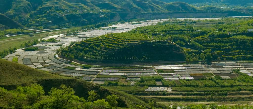 绥德:黄土高原交通枢纽的防疫承压与破局_89031