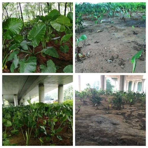 龙华区城中村密网:一例阳性背后的空间防疫挑战