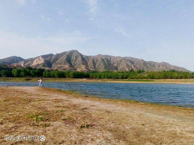 滨湖临水而居，何以成为疫情中的静默孤岛？