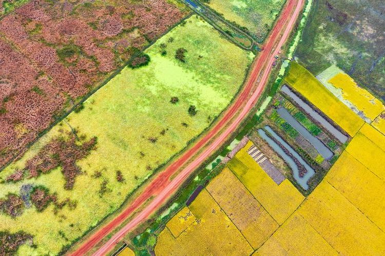 昭通高原屏障下的防疫破局：地理优势如何塑造疫情曲线