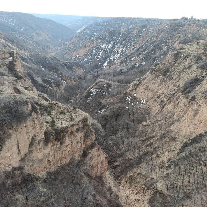 【庆阳黄土塬上的防疫坚守:地理屏障与社区网格的双重考验】