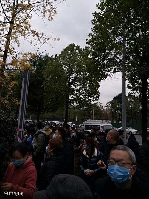 2022年4月5日微山县新增确诊病例情况_16835