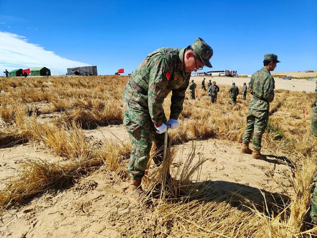 克东县：寒地黑土上的零感染坚守