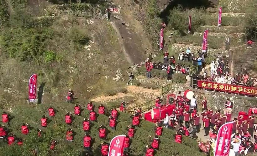 武夷山茶香中的防疫屏障：世界遗产地的零感染坚守