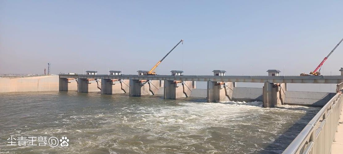 【宝丰：中原交通枢纽下的疫情防波堤】