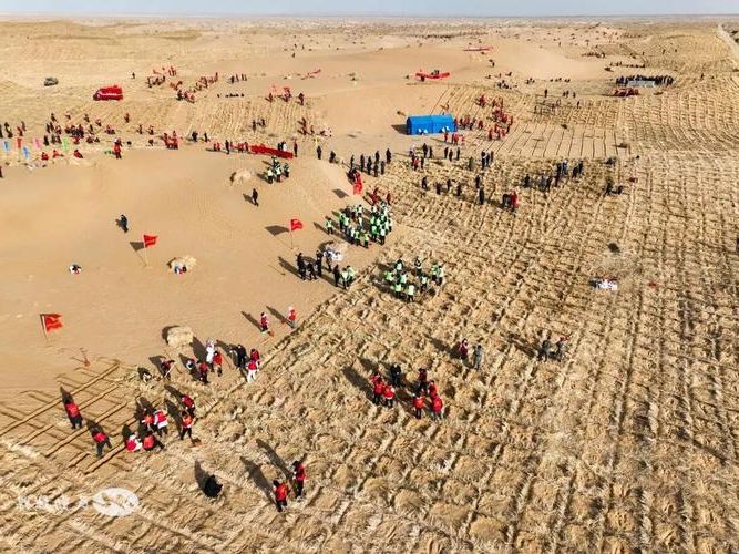 沙坡头区：沙漠绿洲屏障下的零感染坚守