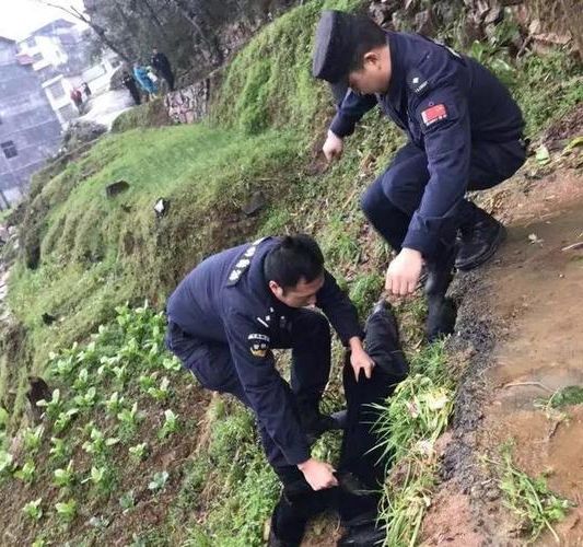 松桃新增1例无症状感染者  松桃疫情防控最新通报_65581