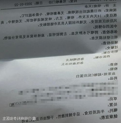 2022年3月15日东洲区新增确诊病例情况_41723