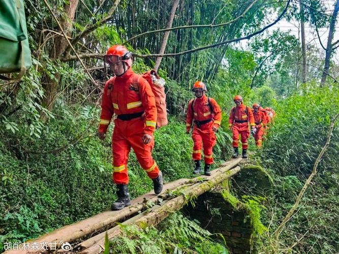 沐川：川南林海屏障下的零感染坚守_13201