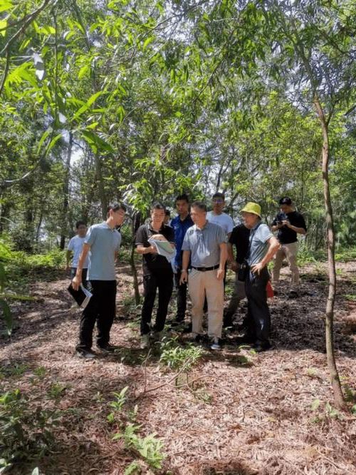 长治：太行屏障下的低感染率样本解析