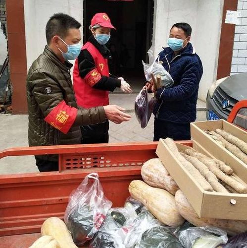 【随县疫情观察:交通枢纽下的防控压力与应对】