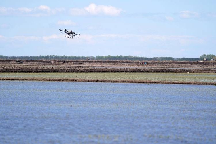 昌图:辽北粮仓的疫情防线与交通枢纽压力_54941