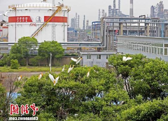 乌达区：黄河岸边的工业重镇如何守住防疫阵地？