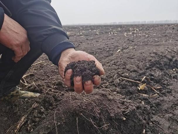 依安：寒地黑土上的疫情防线与破防时刻_55968