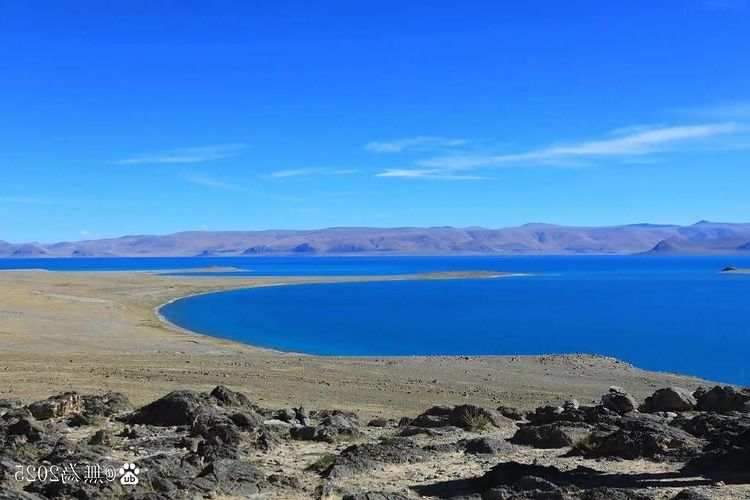 西藏尼玛:海拔4500米高原屏障下的零感染坚守