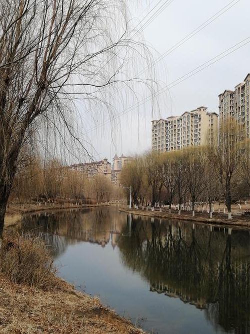 武清区：京津走廊上的疫情防波堤