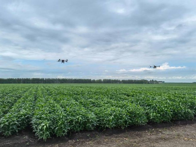 海伦新增1例无症状感染者  海伦市疫情防控最新通报_77778